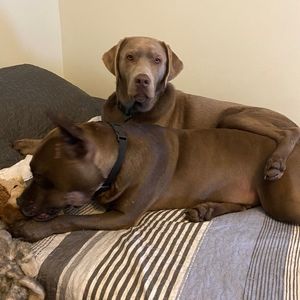 Meet your Posher, Annette